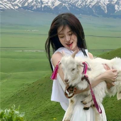 老友猩爷