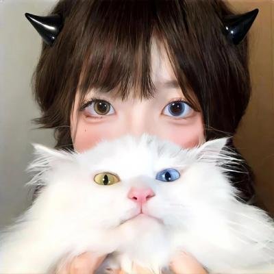 红楼劫